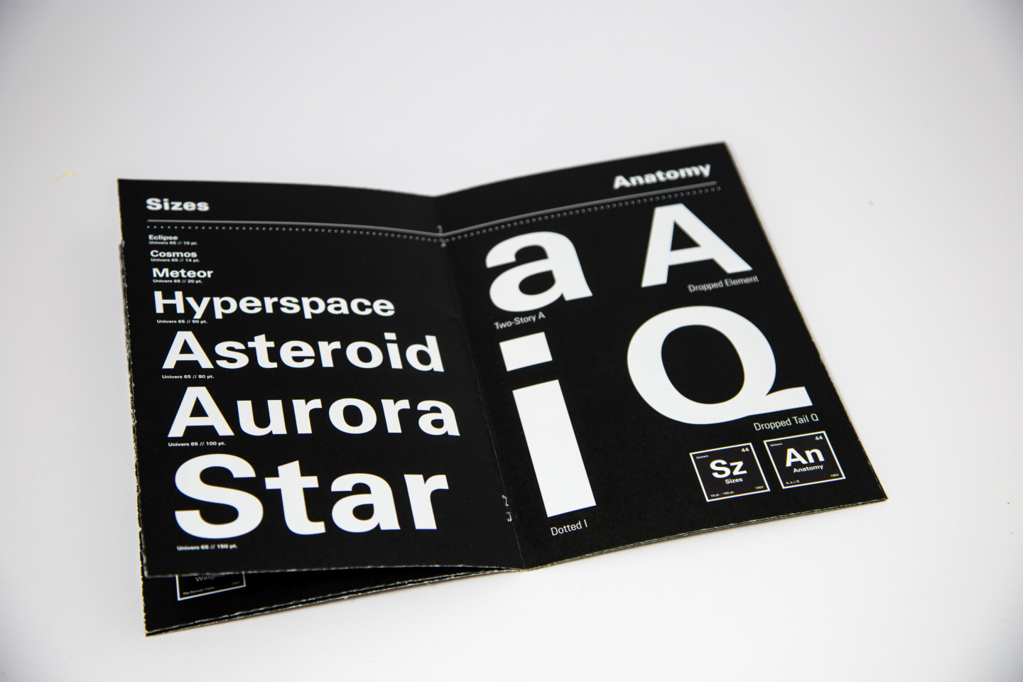 Sizes and anatomy spread