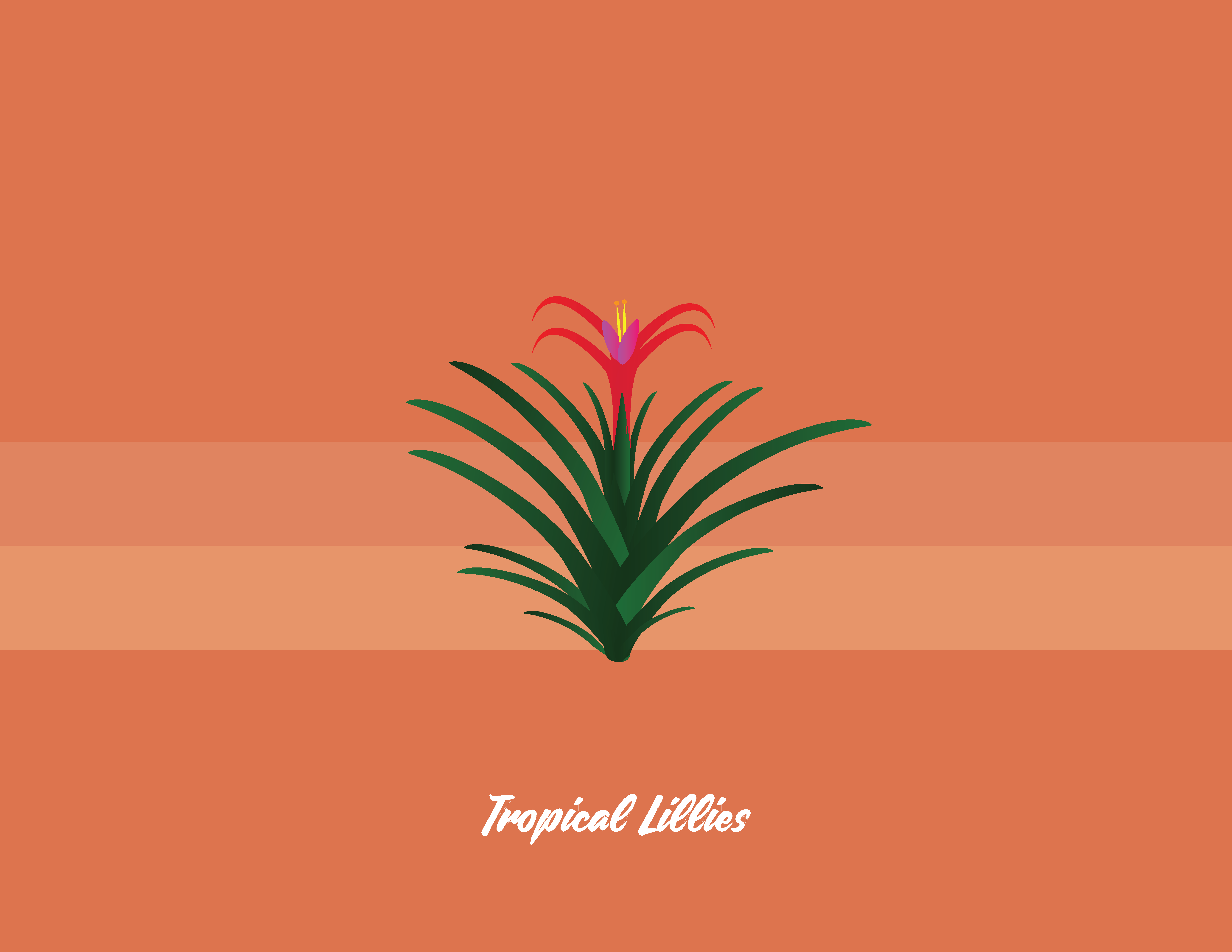 Tropical lilies illustration