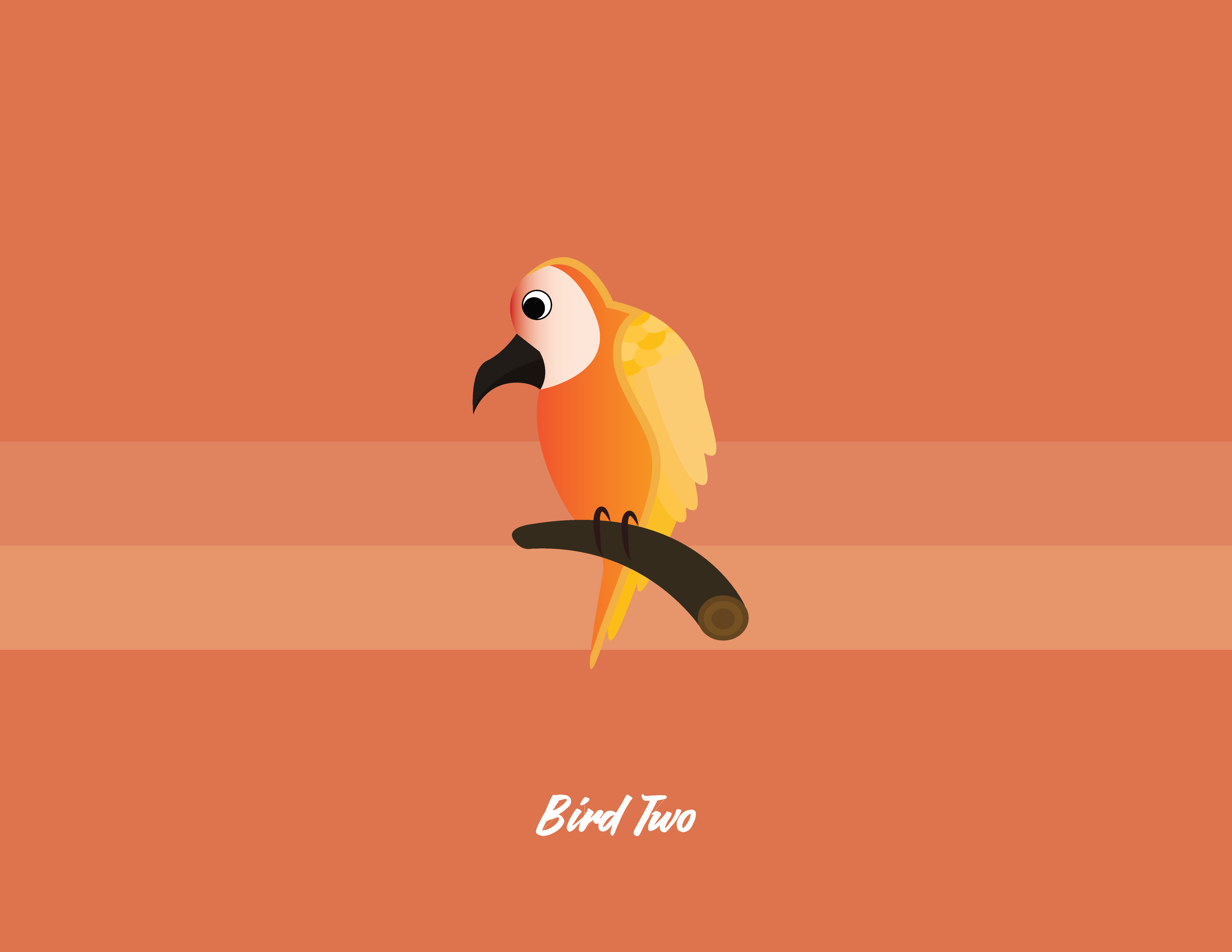 Orange bird illustration