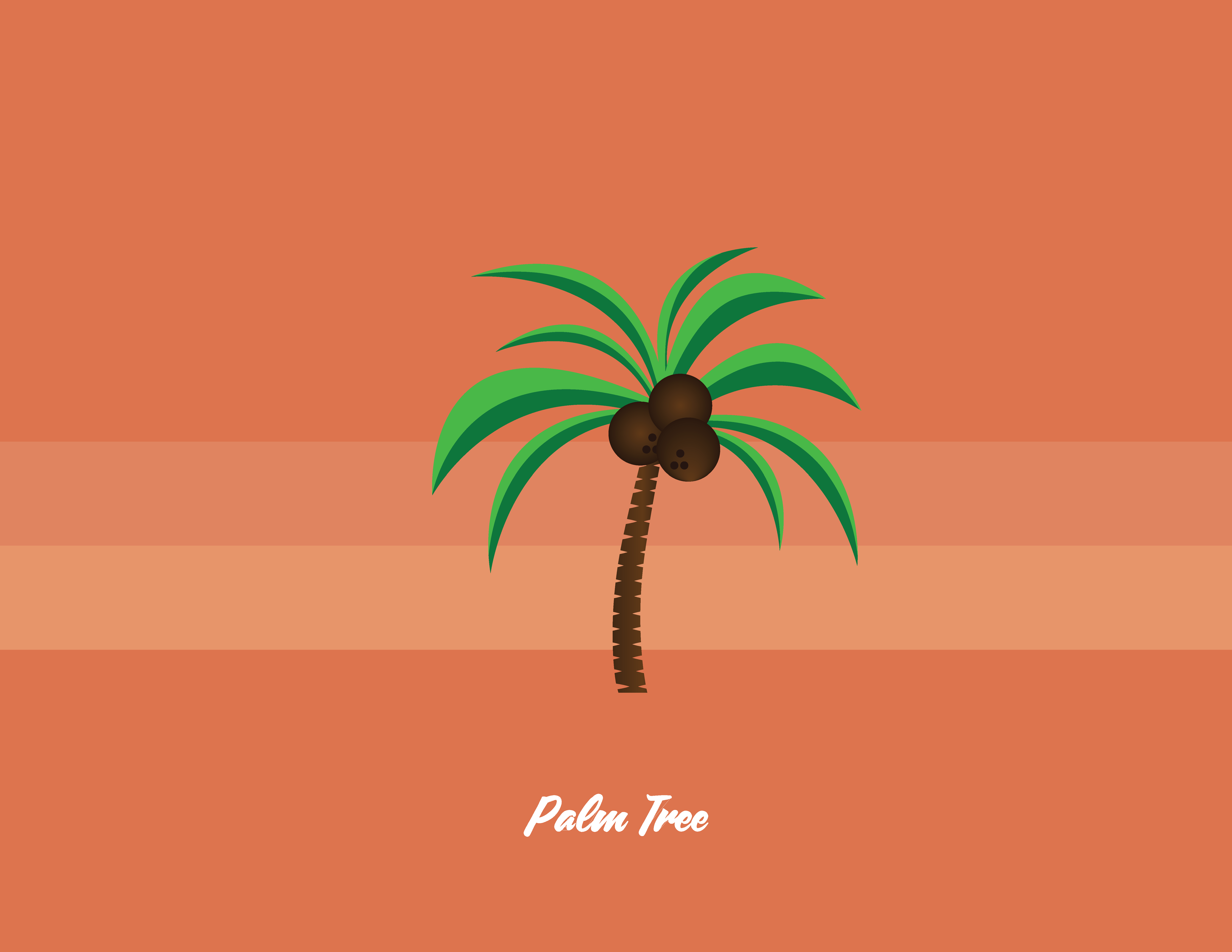 Palm tree illustration